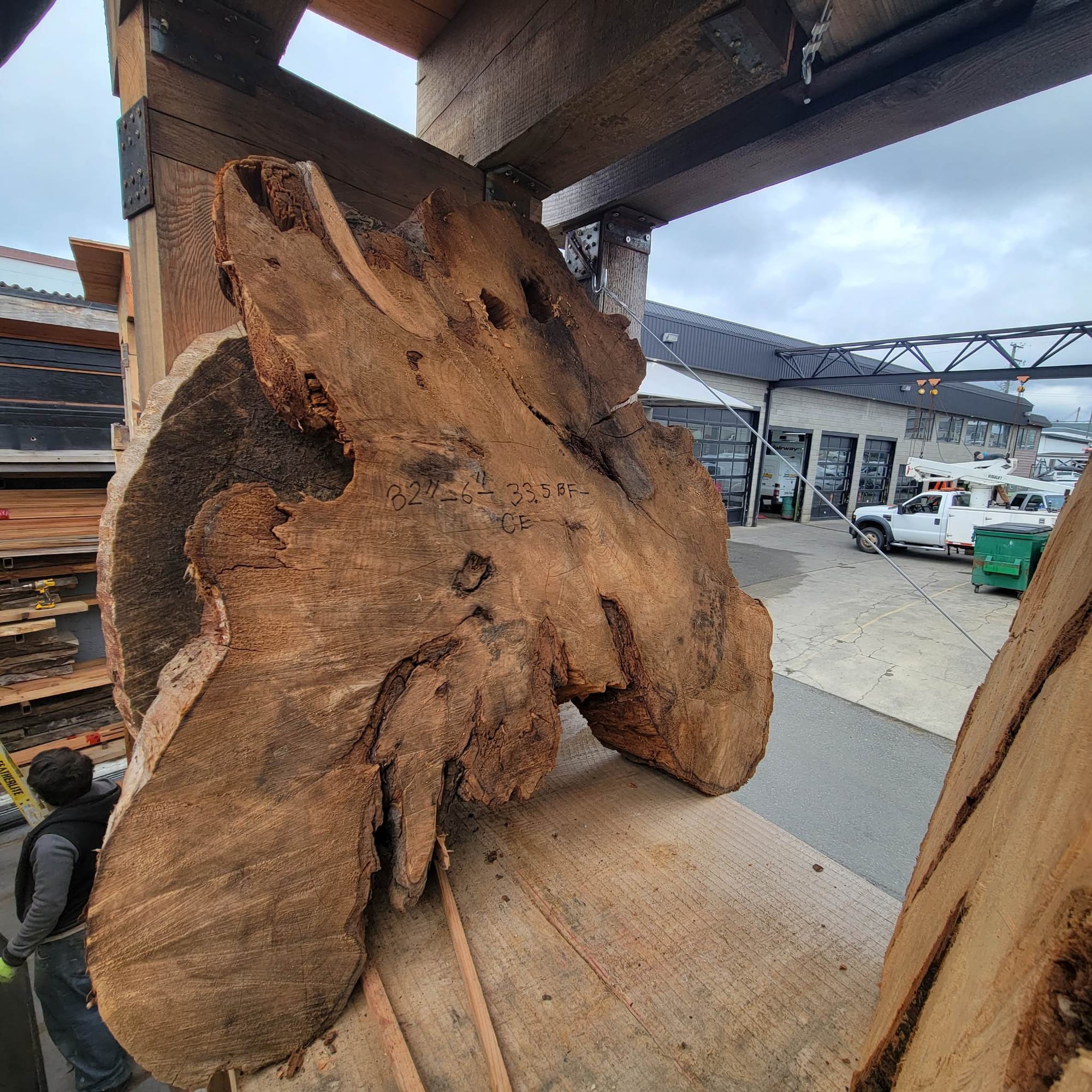 Western Red Cedar